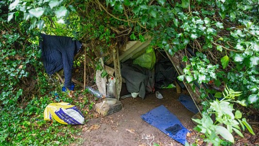 Hallaron vivo en un bosque a un hombre al que creían asesinado hace 5 años