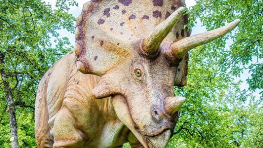 Por primera vez, descubrieron un cáncer de hueso en un dinosaurio