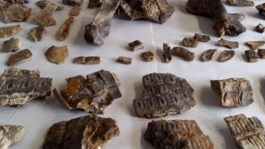 Hallan los restos fósiles de un armadillo de 700 mil años en el lugar donde sucedió la batalla de Vuelta de Obligado