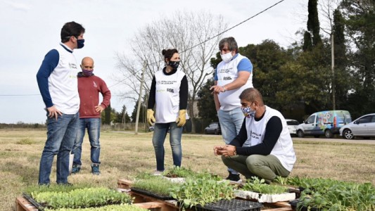 Instalan 60 huertas comunitarias en comedores sociales y barrios platenses