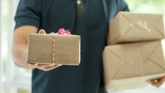 Narcotráfico por encomienda: piden mejorar los controles