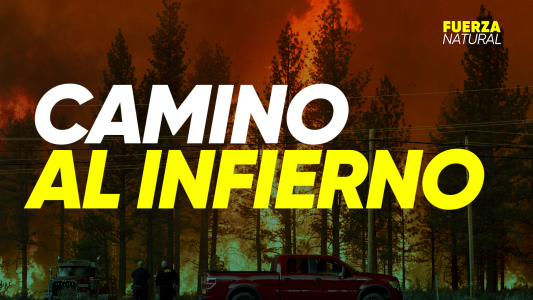 Camino al infierno: Así se viven por dentro los incendios en California