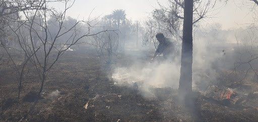Se quemó parte de una reserva ecológica en Corrientes y hay alerta máxima por los incendios