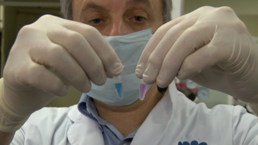 Producirán un millón de test rápidos argentinos para detección de coronavirus por mes