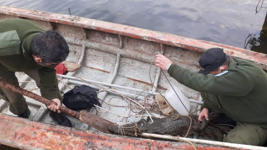 Apareció un yacaré en las costas de Pueblo Esther escapando de los incendios