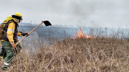 Ambientalistas que cortaban un puente se sumaron al combate del fuego en las islas del Paraná