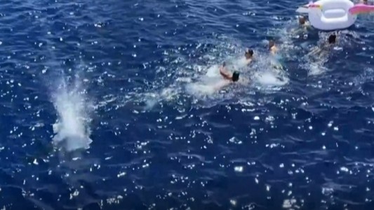 Espantaron a un tiburón a los tiros para proteger a unos turistas