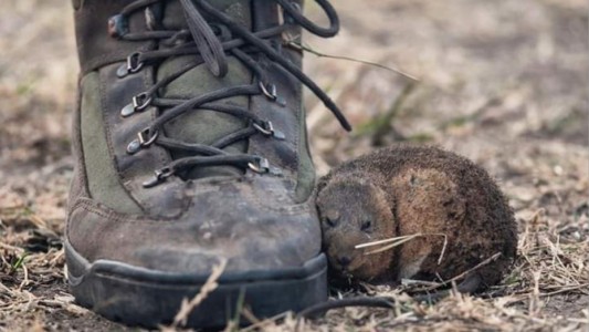 El reportero gráfico que conmovió al país con una foto del fuego en las islas del Delta del Paraná