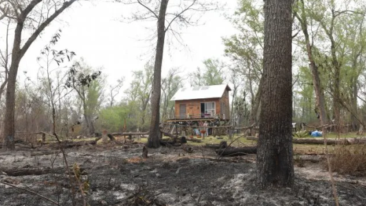 El delta arde: estiman que hay unas 200 mil hectáreas bajo cenizas