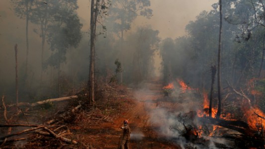 La Amazonia brasileña registró en agosto unos 30.000 focos de incendio