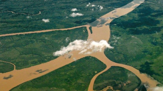 Cinco universidades darán base científica al plan para la conservación del Delta del Paraná