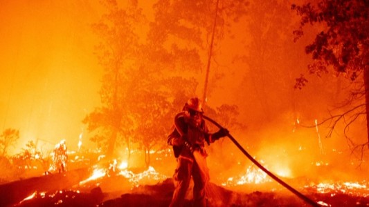 Hicieron una fiesta para revelar el sexo de su bebé y desataron un incendio forestal