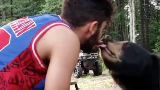 Video: crítica a un joven que alimentó de su boca a un oso