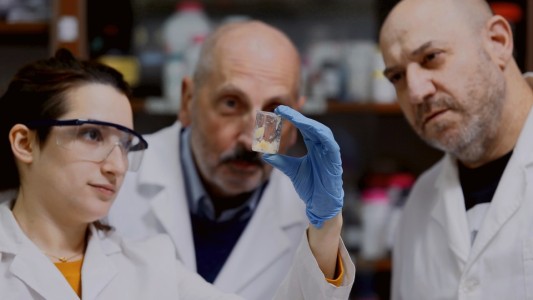 Qué es la violaceína, el nuevo agente terapéutico para combatir microorganismos resistentes a los antibióticos