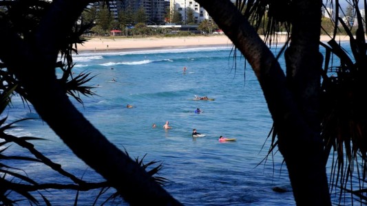 Australia: un tiburón mató a un surfista en una playa protegida con redes