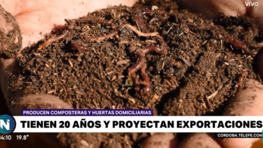 Tienen 20 años y crearon una empresa exitosa a punto de exportar
