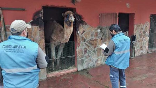 Ratifican el cierre del zoológico de Luján: el Gobierno avanza en su clausura