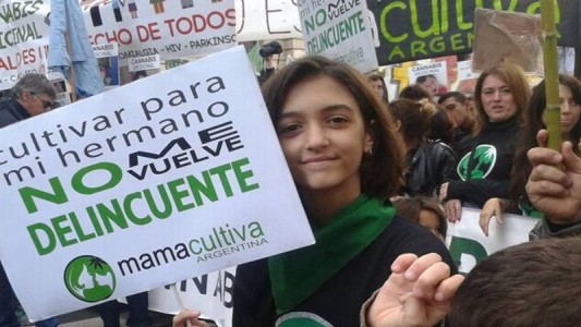 Diputados dio media sanción al uso medicinal del aceite de marihuana