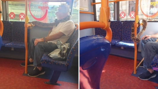 Salió con una serpiente a modo de tapaboca