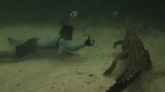 Se graba mientras bucea entre cocodrilos