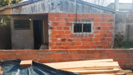 Hallaron muerta a una anciana en su casa: sus gatos se habían comido parte del cuerpo