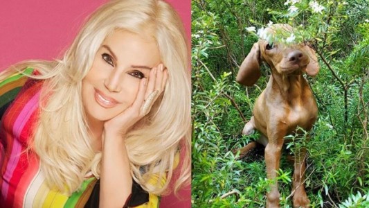 El tierno video de Susana con su perra Rita