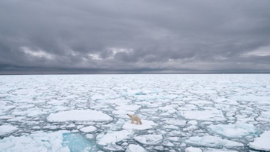 Calentamiento global: el casquete polar ártico alcanzó su segundo nivel más bajo desde que hay registro