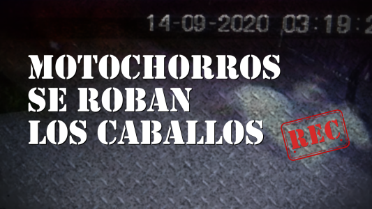 Los motochorros que se roban los caballos - #REC