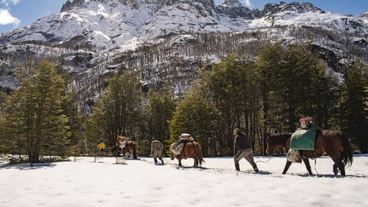 Un grupo de voluntarios plantó 6000 árboles nativos en bosques quemados de Chubut
