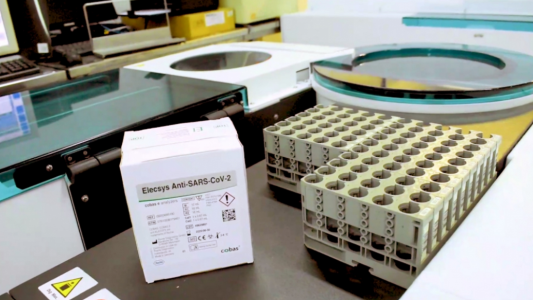 A través de la web de la provincia se podrán consultar los resultados de los hisopados