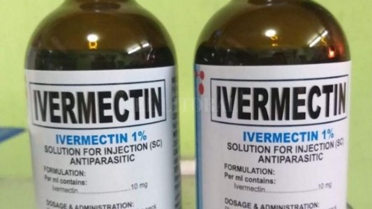 Un estudio en Argentina indica que la Ivermictina tiene respuesta antiviral ante el coronavirus