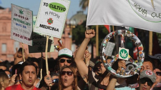 Multitudinaria marcha para pedir la despenalización del cannabis