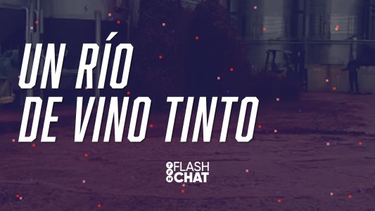 Impresionante río de vino tinto por un accidente en una bodega #FlashChat