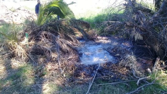 Bahía Blanca: Advierten por la presencia de un surgente con agua hirviendo donde murió un perro