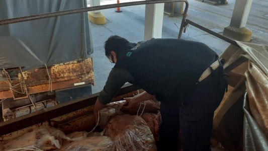 Secuestran una tonelada de costillares ocultos en un camión en la Ruta 3
