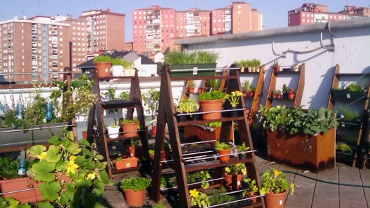 Proponen un "fondo verde" para que la Ciudad de Buenos Aires sea "más sustentable y ecológica"