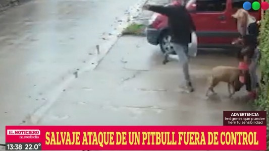 VIDEO: feroz ataque de un pitbull a una nena de 7 años en San Miguel