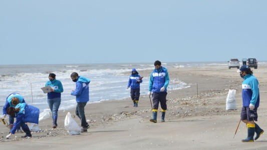 Detectan un 86% de residuos plásticos en playas del Partido de la Costa