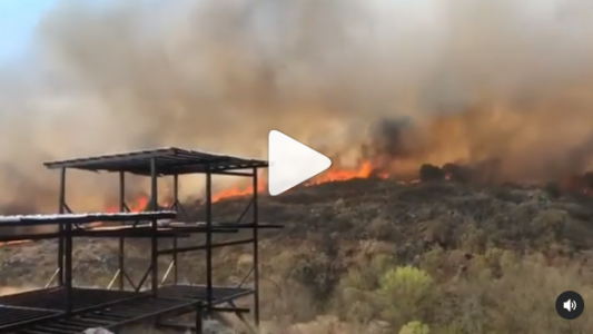 Video dramático: una familia abandona su casa en medio de las llamas en Córdoba