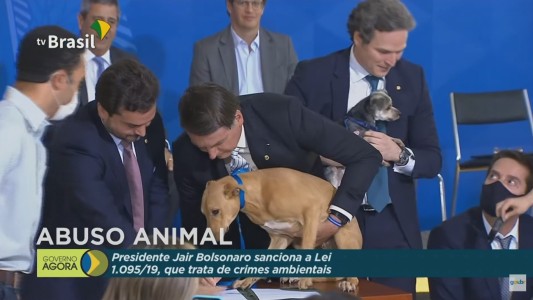 Bolsonaro promulgó una ley firmando con un perro