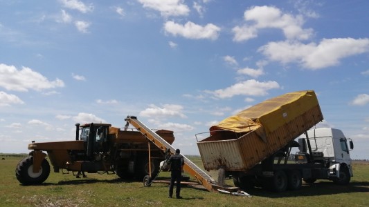El Gobierno formalizó la baja temporal de retenciones a la soja