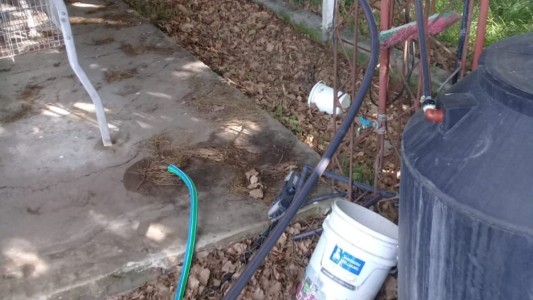 Robo en una escuela agropecuaria: se llevaron el tambo y hasta los caños de agua