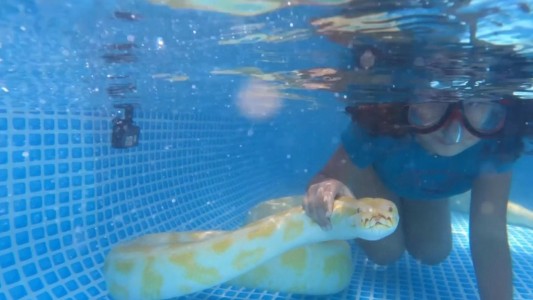 Una nena nada junto a una pitón de 3 metros en una pileta desmontable