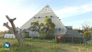 Santa Fe: se mudó a su boliche para cuidarlo de los constantes robos