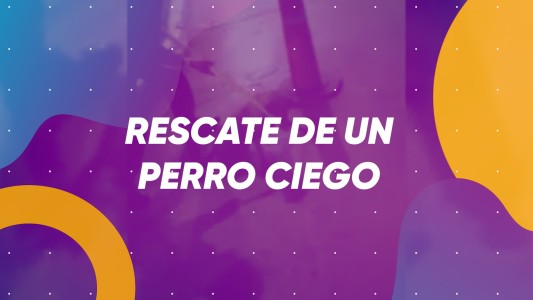 Aumentará el sueldo mínimo, Argentina cerca del millón de casos - #BuenFlash