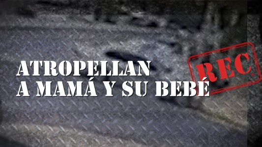 Atropellan a una mamá y a su bebé - #REC
