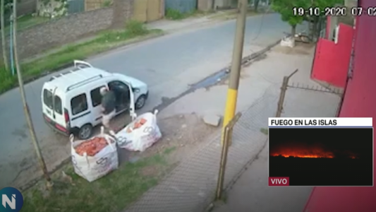 Video: Con bastón y renguera, dos adultos mayores roban ladrillos de un corralón de materiales