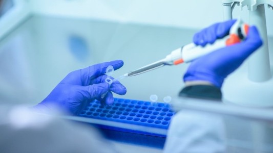 Realizaron tests para saber si las mascotas se contagian con Covid