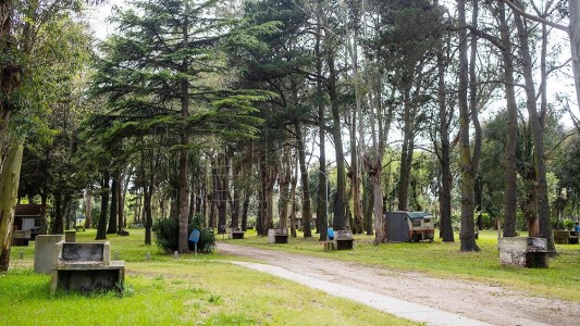 Kicillof dijo que mientras "haya protocolos" se pueden "buscar alternativas" para abrir campings
