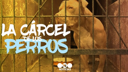 La cárcel de los perros